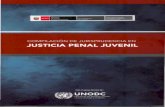 Compilación de-jurisprudencia-en-justicia-penal-juvenil - UNDOC