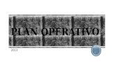 Plan operativo 2013
