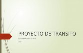 Proyecto transito 2001