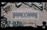 Cultura, contracultura o subcultura diego