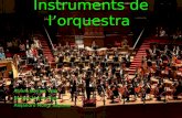 Instruments De L Orquestra Treball Final