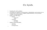 Bioquimica Lipids