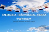 Medicina Tradicional Xinesa: diferents tècniques, un mateix objectiu