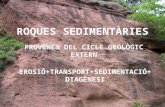 Roques sedimentàries