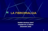 Fibromialgia tilemontoya