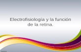 12. electrofisiología y la función de la retina