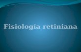 3. fisiologia retiniana