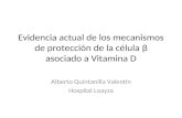 Vitamina D y Célula Beta
