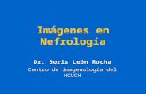 Imágenes en Nefrología