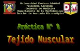 Práctica no. 8 tejido muscular