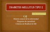 Diabetes mellitus 2 Historia Natural
