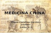 6976140 medicina-china
