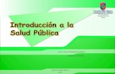 Introducción a la salud pública 2012