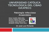 Patologia infecciosa anaerobios r1 2014