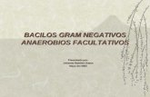 Bacilos gram negativos