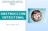 Obstruccion intestinal Cirugía