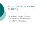 01 Auditoria Ficha Clinica   Dr Reyes