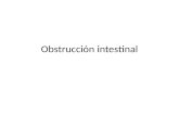 Cirugía de la Obstrucción Intestinal