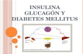Insulina glucagón y diabetes mellitus