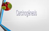 Carcinog©nesis toxicologia