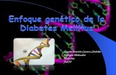 aspectos genéticos, Diabetes