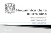 Bioquímica de la Bilirrubina.