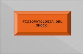 Shock fisiopatologia