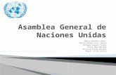 Asamblea general de naciones unidas