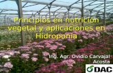 Nutricion vegetal hidroponia ina