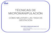 Tecnicas de micromanipulacion en reproduccion asistida