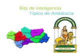 Bits de inteligencia para los niños/as de infantil de las provincias de Andalucía