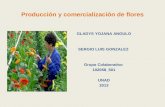 Produccion y comercializacion de flores