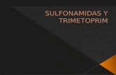 Sulfonamidas y trimetoprim expo bn 1