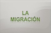 Migracion Prototipo[1]