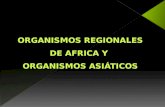 Organismos regionales de africa y asia