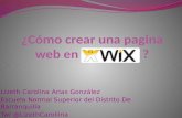 Pagina web  en wix