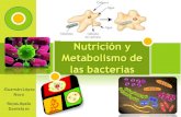 Nutricion crecimiento y metabolismo bacteriano