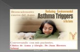 Desencadenantes del asma casero