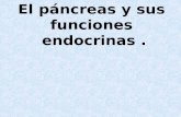 Pancreas y medula suprarrenal