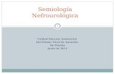 Semiología  nefrourológica bcc5_2012