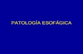 Patologia Esofagica Dr. Llewelyn
