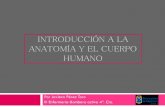 Introducción a la anatomía y el cuerpo humano
