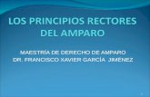 Los principios rectores del amparo -Dr. Francisco Xavier García Jímenéz