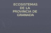 Ecosistemas mediterráneos (Granada)