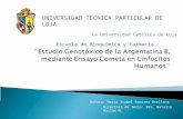 Estudio GenotóXico De La Argentatina B, 1.1