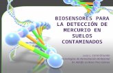 Biosensores para la deteccion de Hg en suelos contaminados