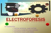 Presentacion de monografia electroforesis