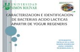 Identificación de bacterias ácido lácticas (BAL) a partir de yogurt