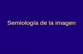 Tema 2: Semiología de la Imagen
