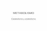 5 Metabolismo Y Atp